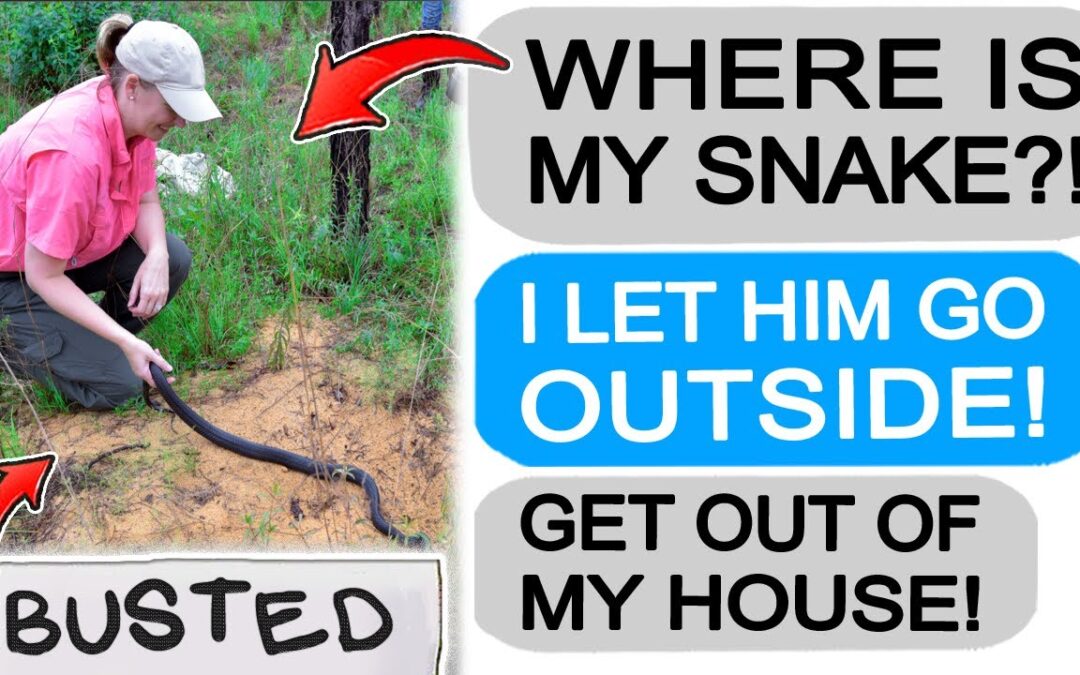 Karen LETS MY SNAKE LOOSE! GETS KICKED OUT! r/EntitledPeople
